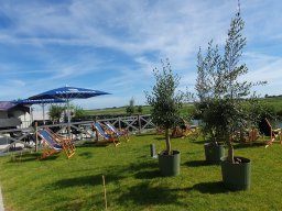 BMW E31 Treffen 2026